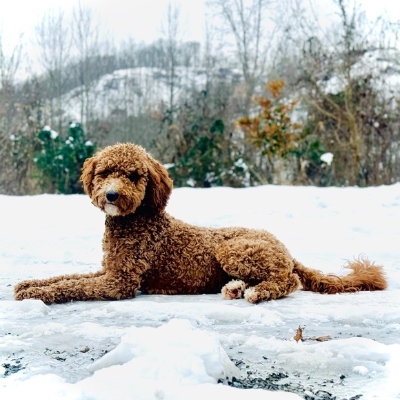 Meet your Posher, Deb - Picture 14 of 15